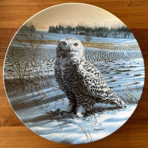 VINTAGE 1989 Knowles Limited Edition Collector Plate Snowy Owl Jim Beaudoin Box